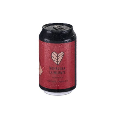 KOMBUCHA ARÁNDANOS [250ml]
