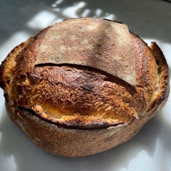 HOGAZA DE PAN CATALÁN