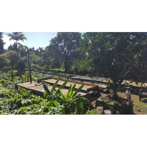 CAFÉ ESPRESSO DE TEMPORADA  [NOMAD COFFEE]