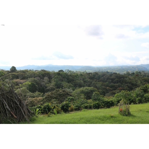 CAFÉ FILTRO DE TEMPORADA [NOMAD COFFEE]