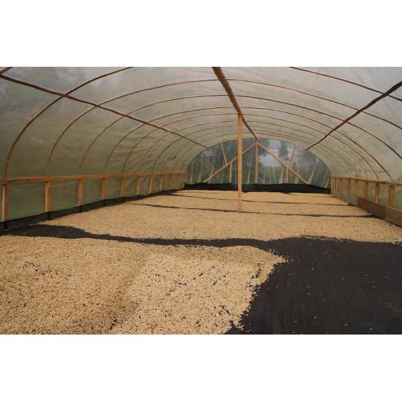 CAFÉ FILTRO DE TEMPORADA [NOMAD COFFEE]