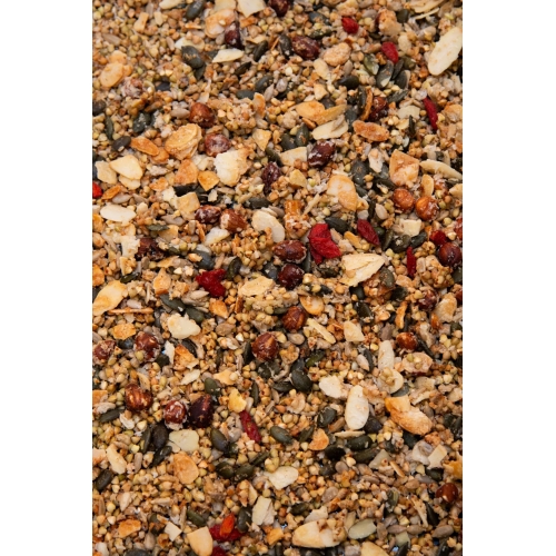 SA GRANOLA ORIGINAL [335GR]
