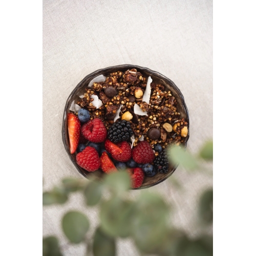 SA GRANOLA XOCO COCO [335GR]