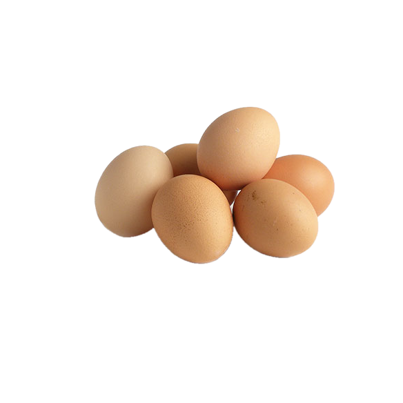 HUEVOS ECOLÓGICOS -MEDIA DOCENA-