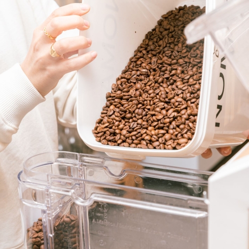 CAFÉ FILTRO DE TEMPORADA [NOMAD COFFEE]