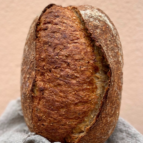 HOGAZA DE PAN SEMILLOSO