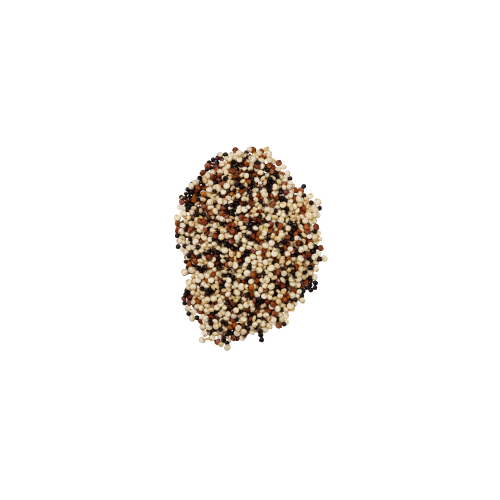 QUINOA TRICOLOR