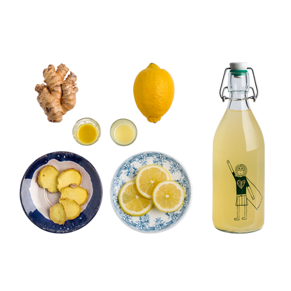 KOMBUCHA JENGIBRE Y LIMÓN [250ml]