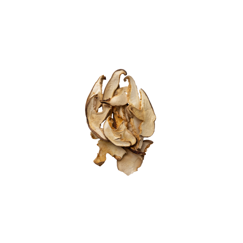 SHIITAKE LAMINADO DESHIDRATADO